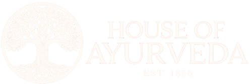 Footer Logo